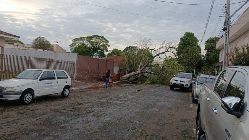 Paranavaí temporal derruba 30 árvores destelha casas e deixa milhares