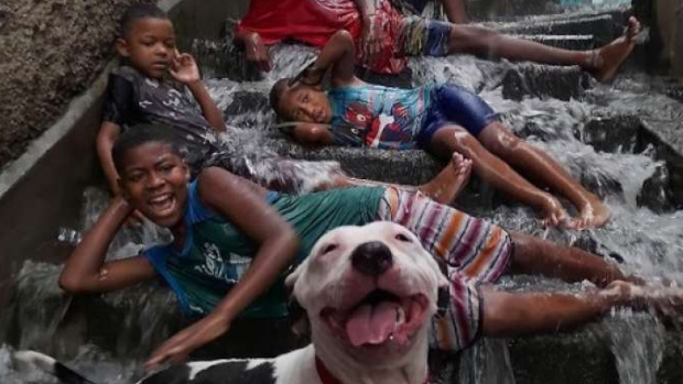 Foto de crianças e cachorro sorrindo durante temporal no Rio de Janeiro viraliza