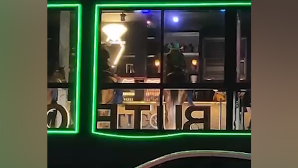 Limites? Cavalos são flagrados dentro de casa noturna no Paraná