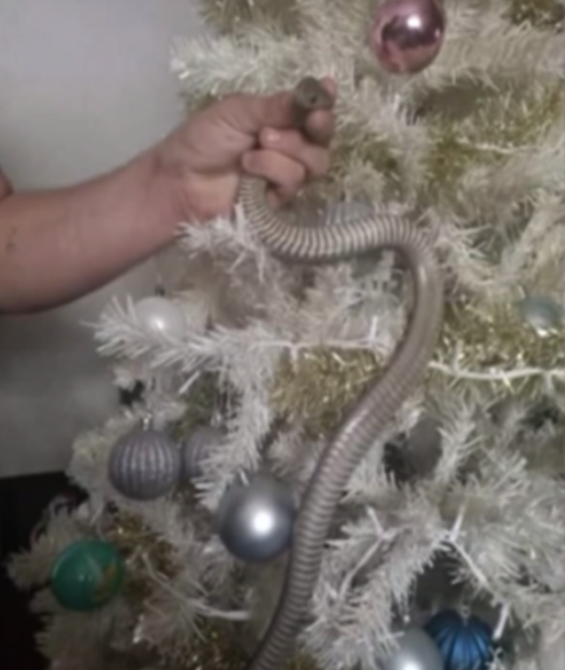 O Natal vem chegando e as decorações já começam a ser colocadas nas casas. Uma família tomou um susto com uma cobra entre os enfeites.