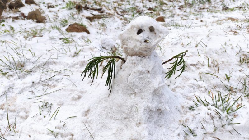 Boneco de neve em São Joaquim