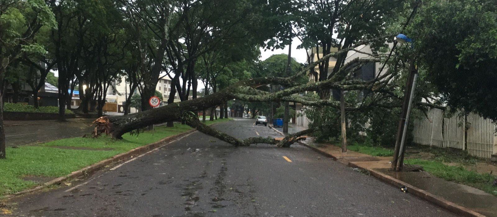 Uma TROPA DURA na final do CUTIANO em Maringá 