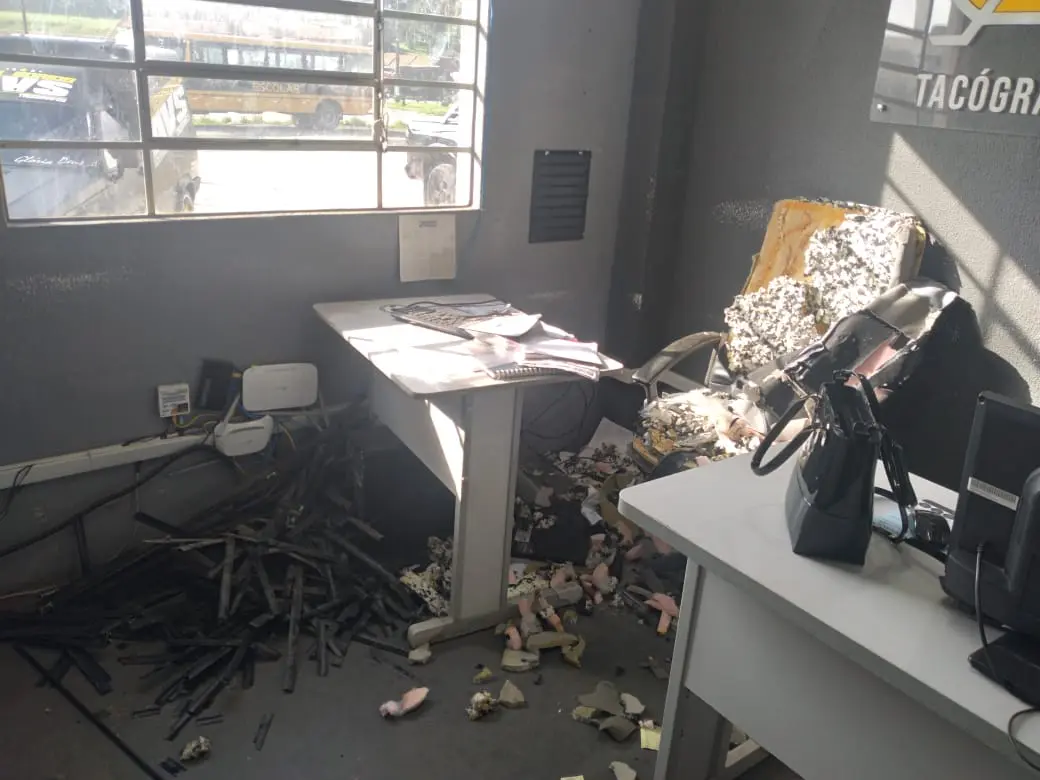 Cão destrói loja em Araucária e dono tem prejuízo de R$ 8 mil ao saber que seguro não cobre danos