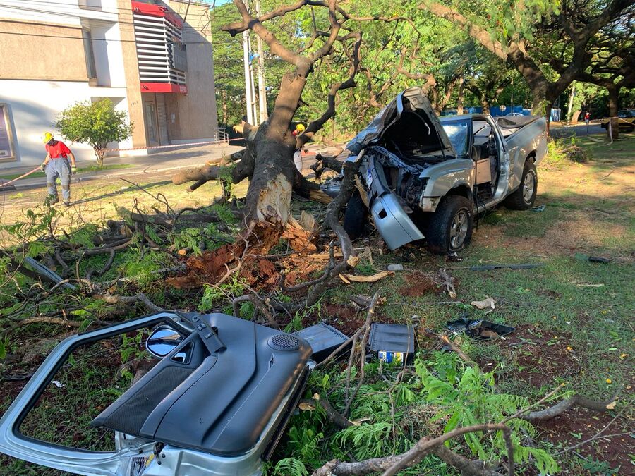Motorista perde o controle do veículo e derruba árvore em Maringá