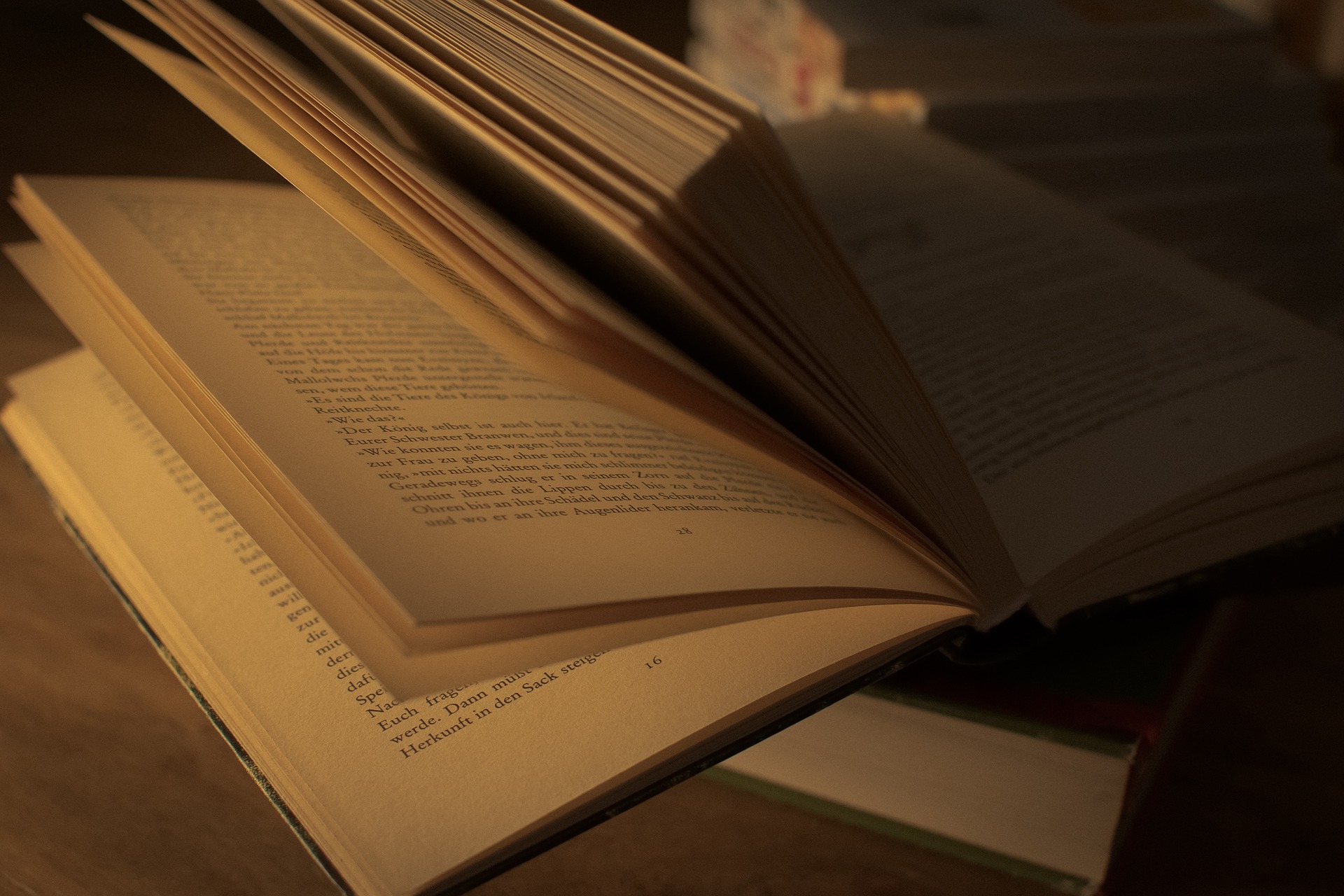 Vocabulário Ortográfico da Língua Portuguesa inclui mil novas palavras