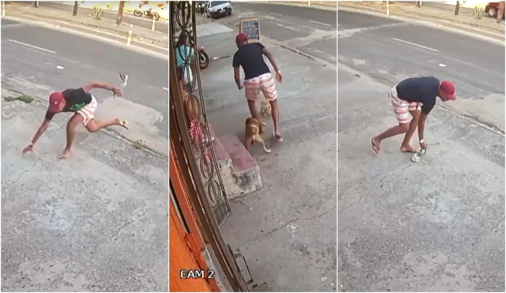Criminoso tropeça, perde chinelo e é mordido por cachorro em tentativa de furto
