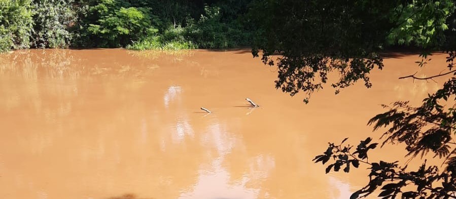 Encontrado corpo de homem que se afogou no Rio Pirapó