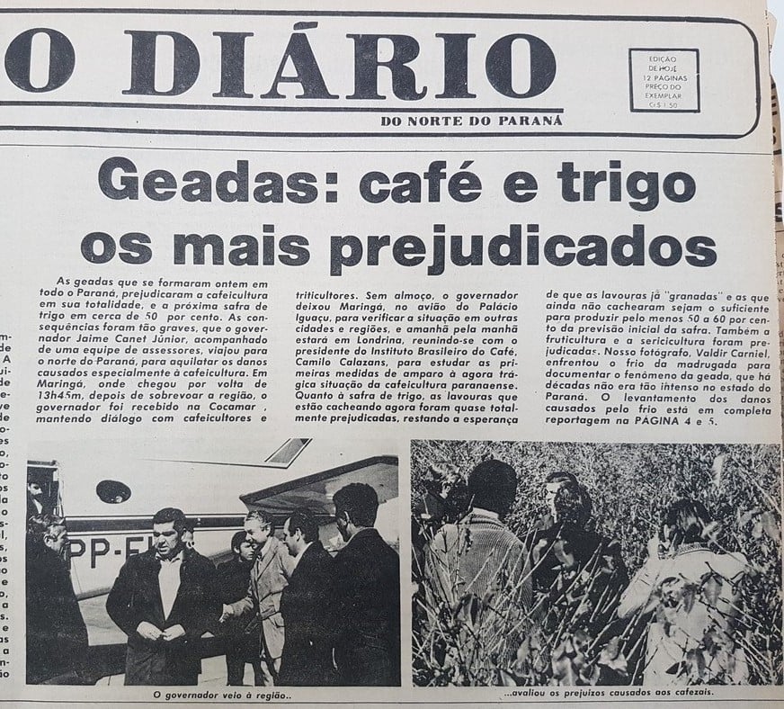 Inverno de 1975: Relembre a geada negra em Maringá e região; FOTOS
