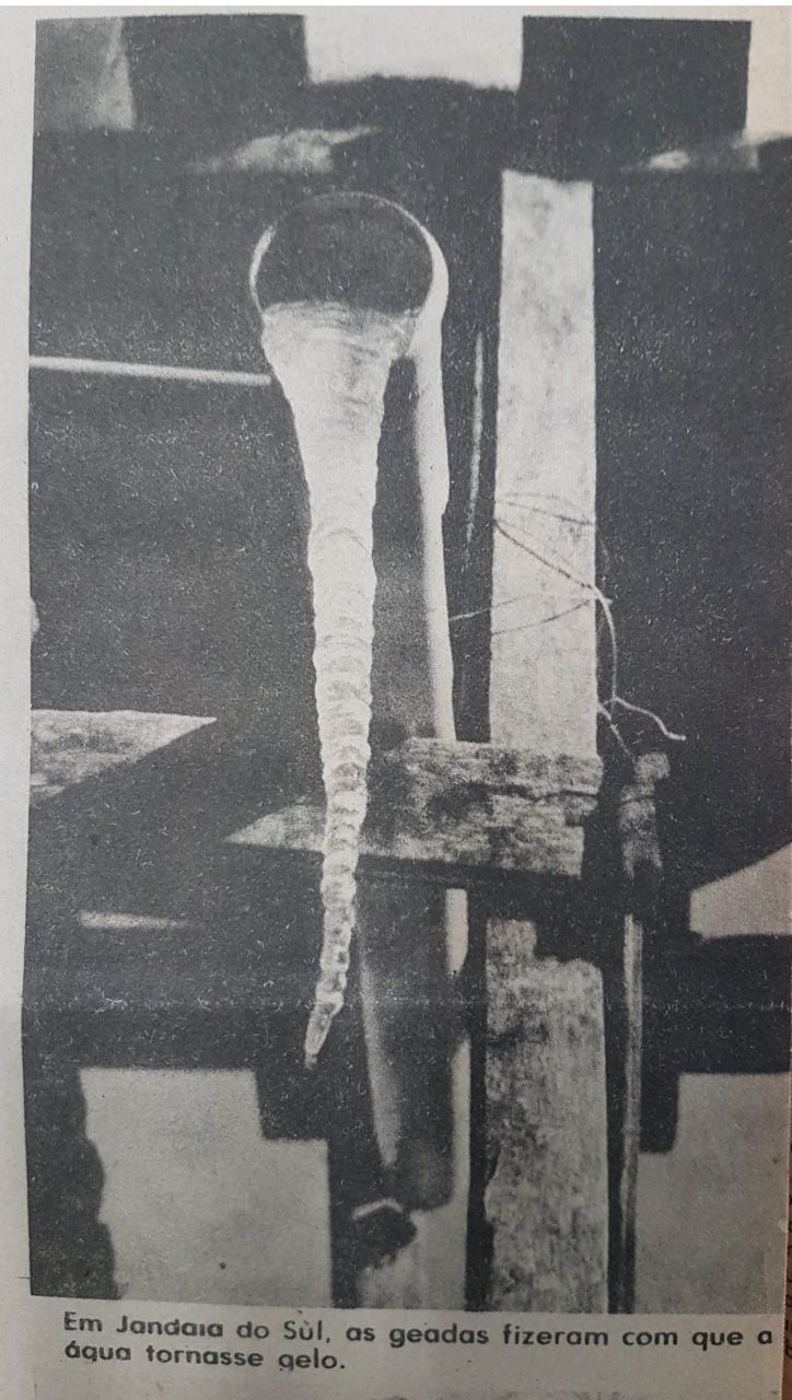Inverno de 1975: Relembre a geada negra em Maringá e região; FOTOS