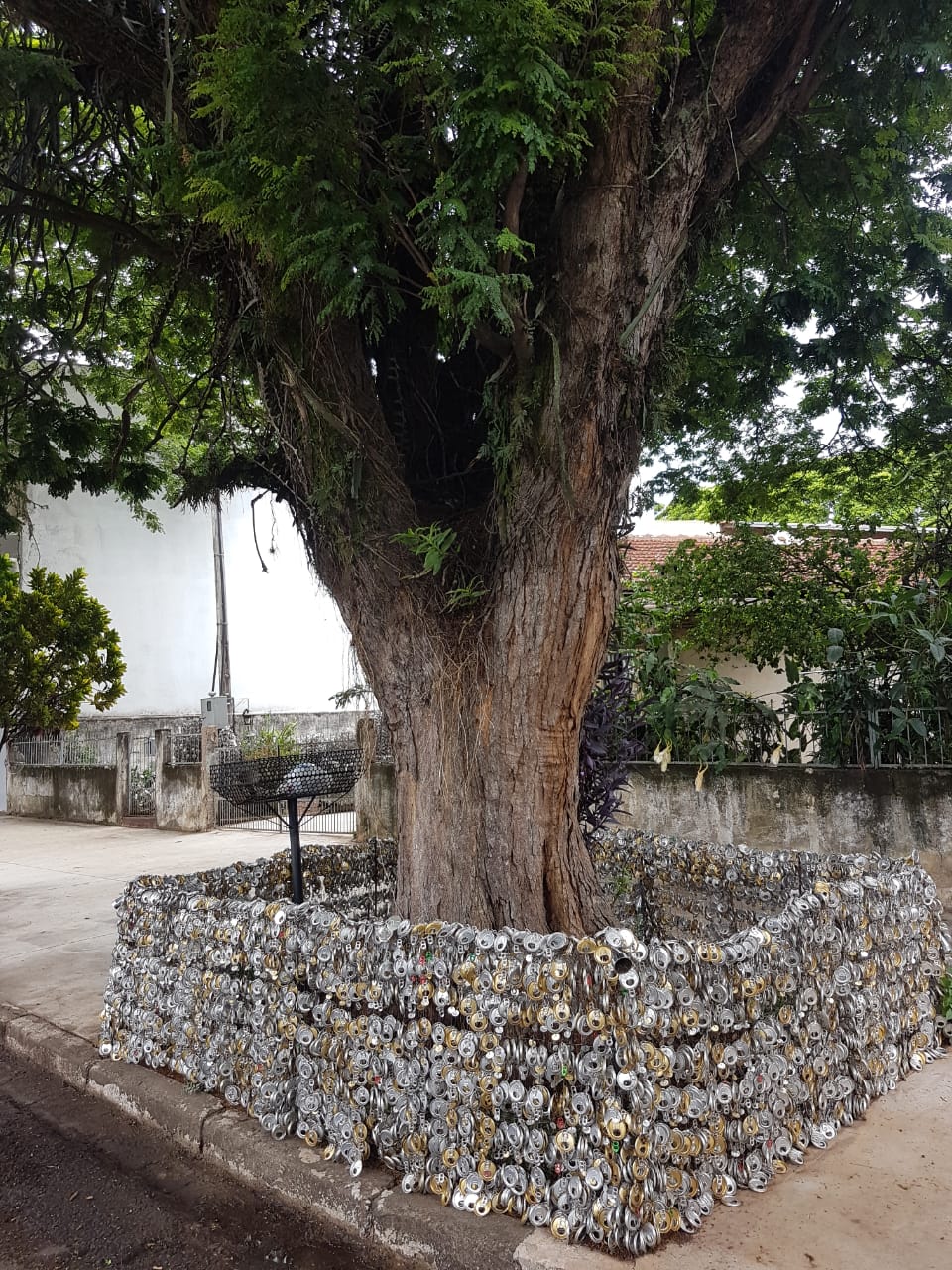 A história por trás da casa decorada com latinhas de alumínio em Maringá