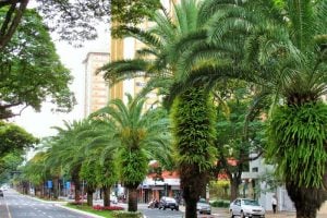 Tempo estável e máxima de 33ºC em Maringá neste sábado