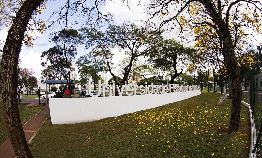 UEM: Ano letivo de 2021 inicia em agosto