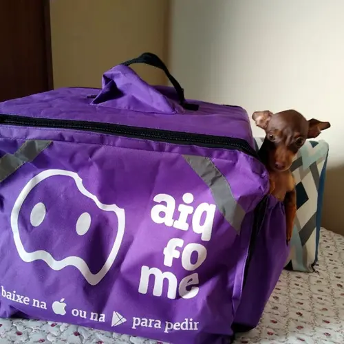 AiQFome, de Maringá, é comprado pelo Magazine Luiza