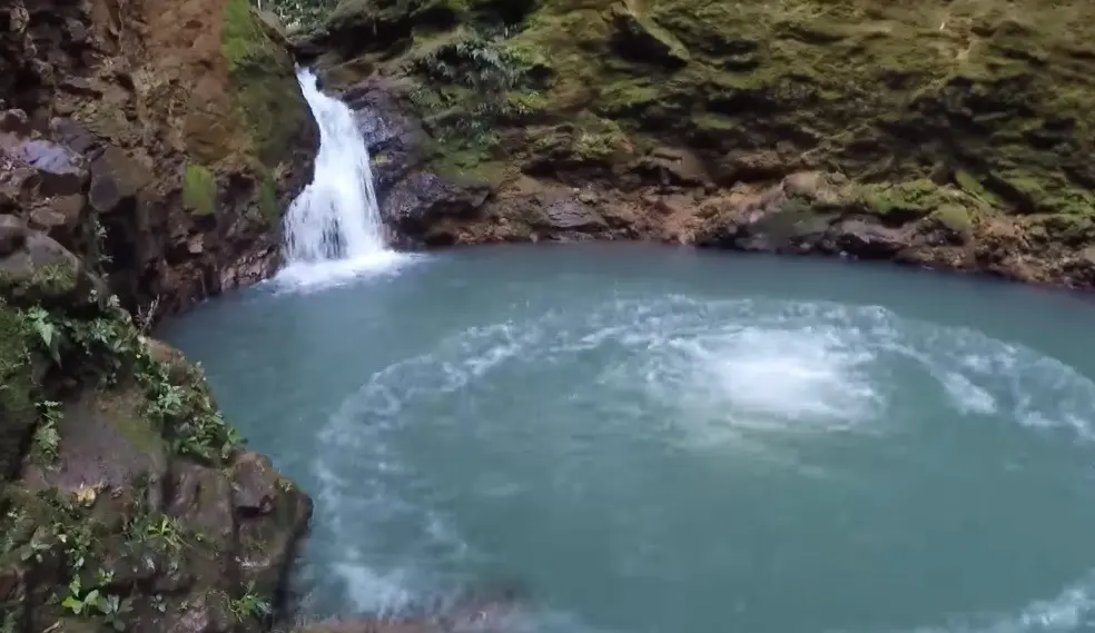 Conheça o Bosque 2: uma floresta com cachoeira no meio de Maringá