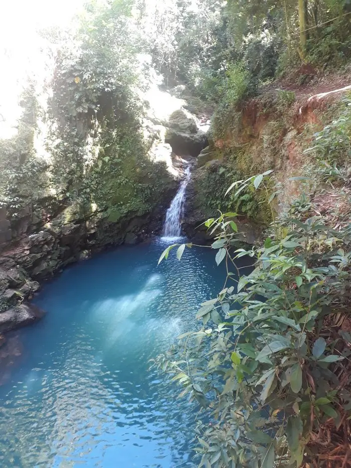 Conheça o Bosque 2: uma floresta com cachoeira no meio de Maringá