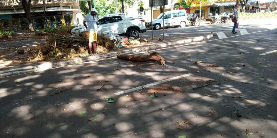 Galho de árvore cai e atravessa parabrisa de caminhonete em Maringá