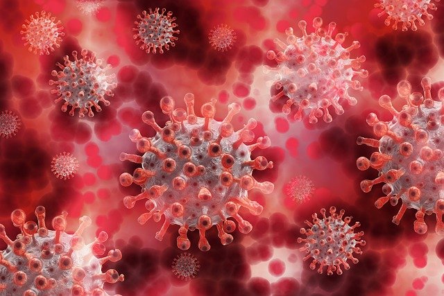 Viralizou: É verdade que o calor mata o novo coronavírus?