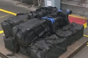 PF apreende 254 quilos de cocaína em contêiner no Porto de Paranaguá