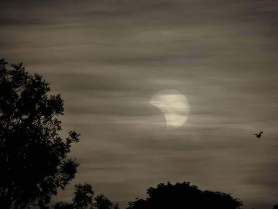 Eclipse solar poderá ser visto em Maringá nesta segunda-feira; veja como observar