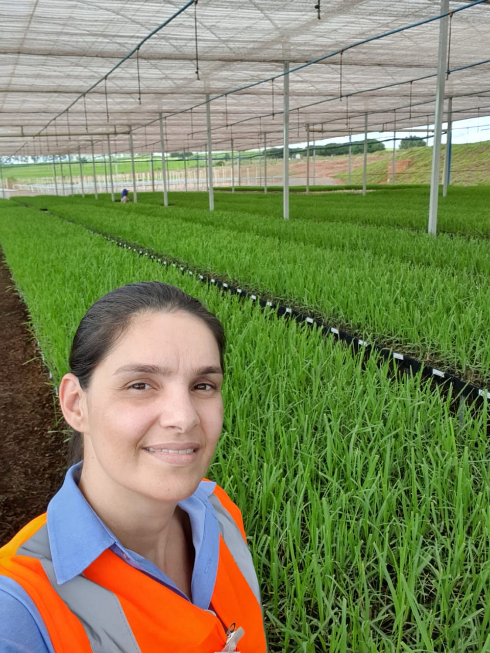 Poder feminino se faz presente na Usina Santa Terezinha