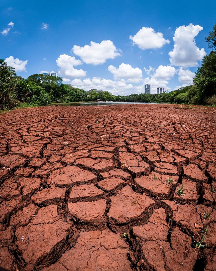 Estiagem: Vegetação da Mata Atlântica avança sobre área que era do lago do Parque do Ingá 