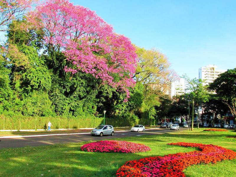Primavera começa nesta terça-feira; veja a previsão do tempo em Maringá
