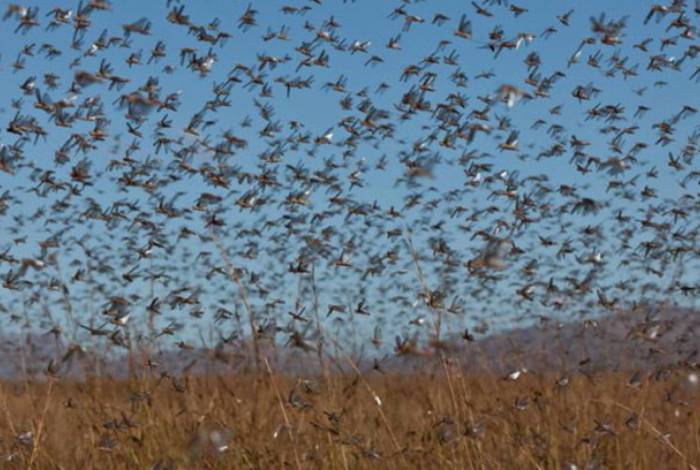 Veja 6 fenômenos naturais inusitados ocorridos em Maringá