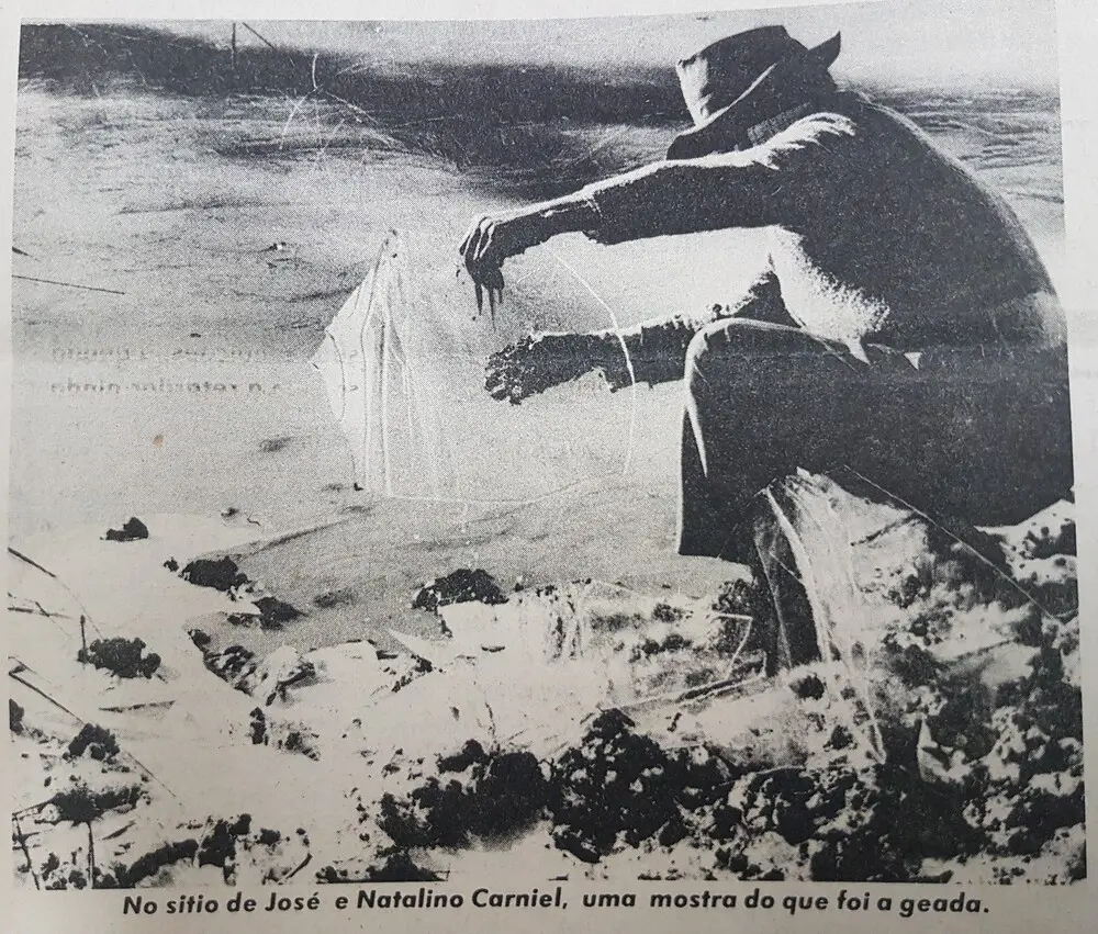 Inverno de 1975: Relembre a geada negra em Maringá e região; FOTOS