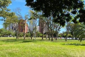 Sábado de tempo estável e máxima de 32ºC em Maringá
