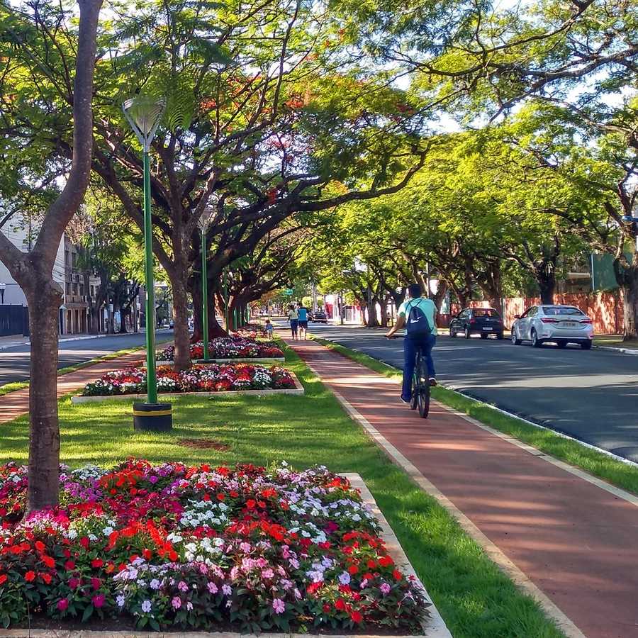 Céu claro e máxima de 30ºC neste domingo, em Maringá