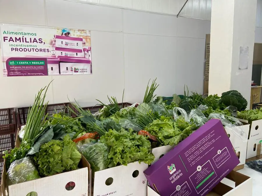 Projeto leva alimentos orgânicos a famílias em situação de vulnerabilidade social