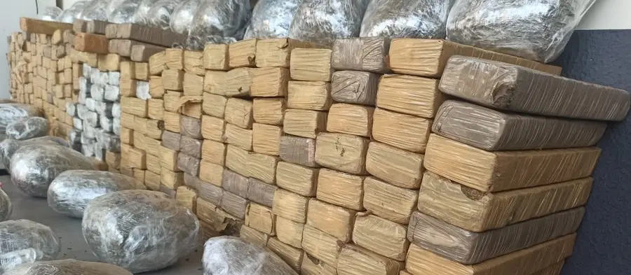 Guarda Municipal apreende 215 kg de maconha em Sarandi