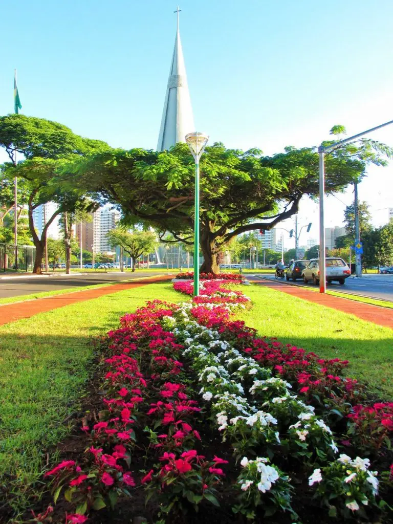 Domingo de tempo estável e máxima de 23ºC em Maringá, diz Simepar