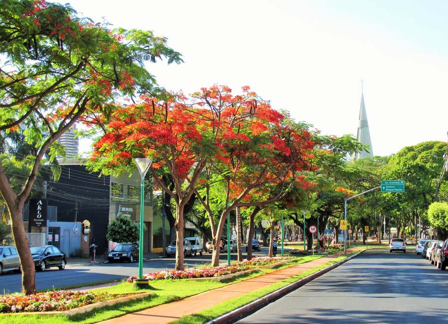 Tempo instável e calor de 35ºC em Maringá neste sábado