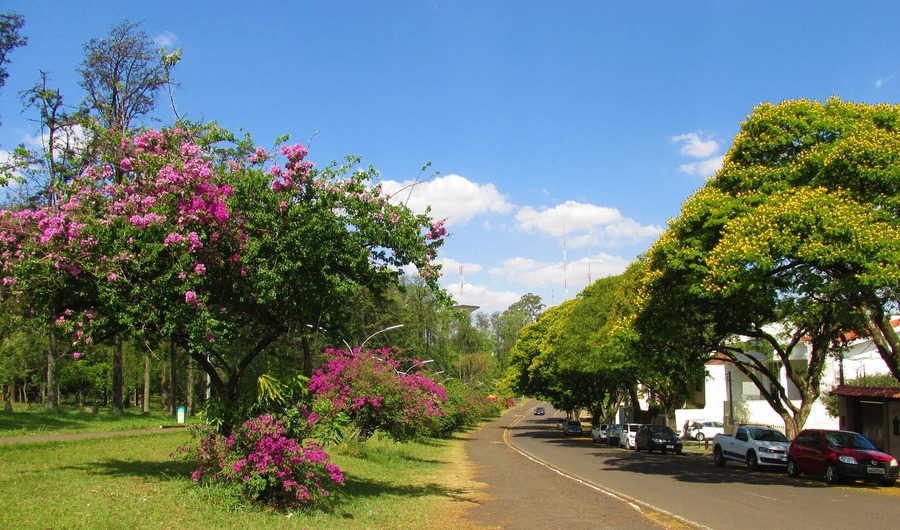 Céu claro e máxima de 29ºC em Maringá neste feriado, diz Simepar