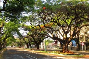 Quarta-feira de tempo instável e calor de 36ºC em Maringá, diz Simepar