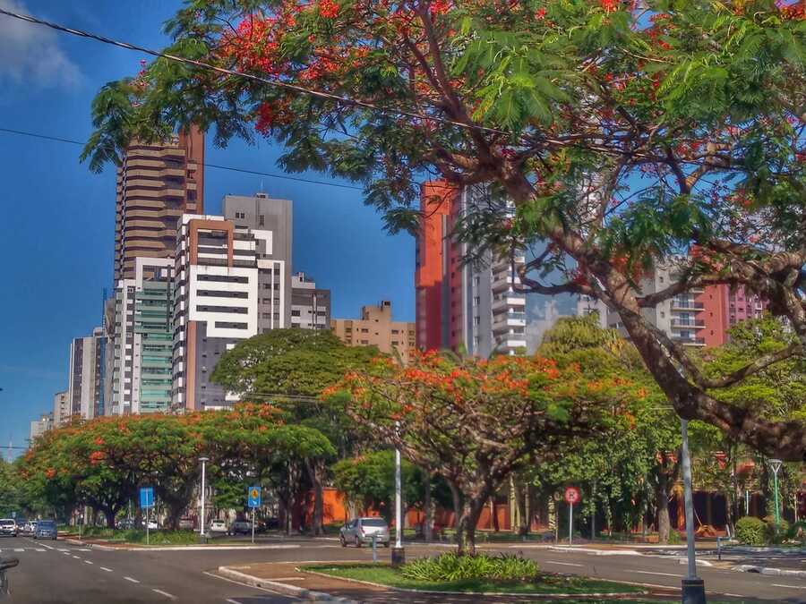Veja a previsão do tempo para a primeira semana do verão em Maringá