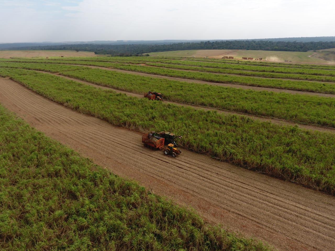 Do corte de cana a eletricista agrícola da Usina Santa Terezinha