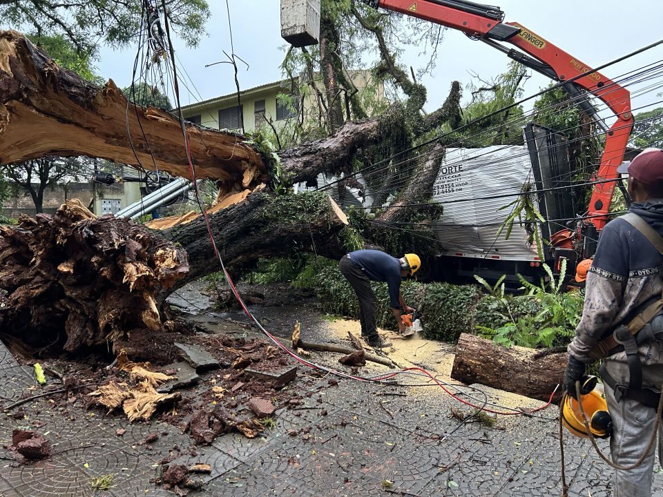 Estragos do temporal: 14 mil imóveis ainda estão sem energia em Maringá; veja balanço atualizado