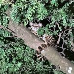 WhatsApp Image 2023-11-08 at 11.28.28