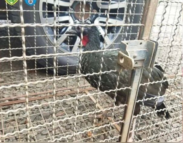 WhatsApp Image 2023-11-13 at 08.07.37