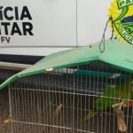 WhatsApp Image 2023-11-13 at 08.07.38