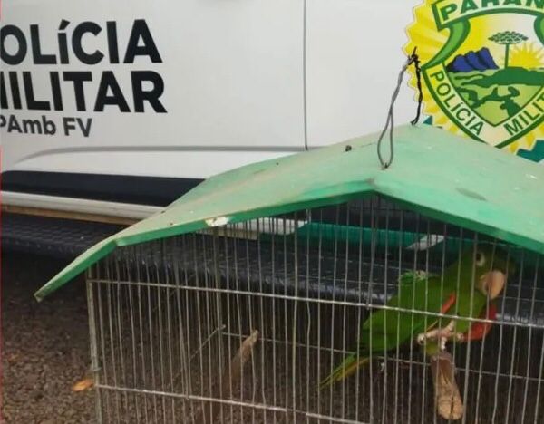 WhatsApp Image 2023-11-13 at 08.07.38