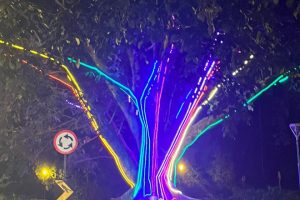 WhatsApp-Image-2023-11-16-at-16.55.34