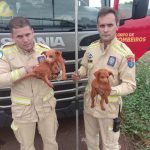 WhatsApp-Image-2023-11-20-at-16.32.48