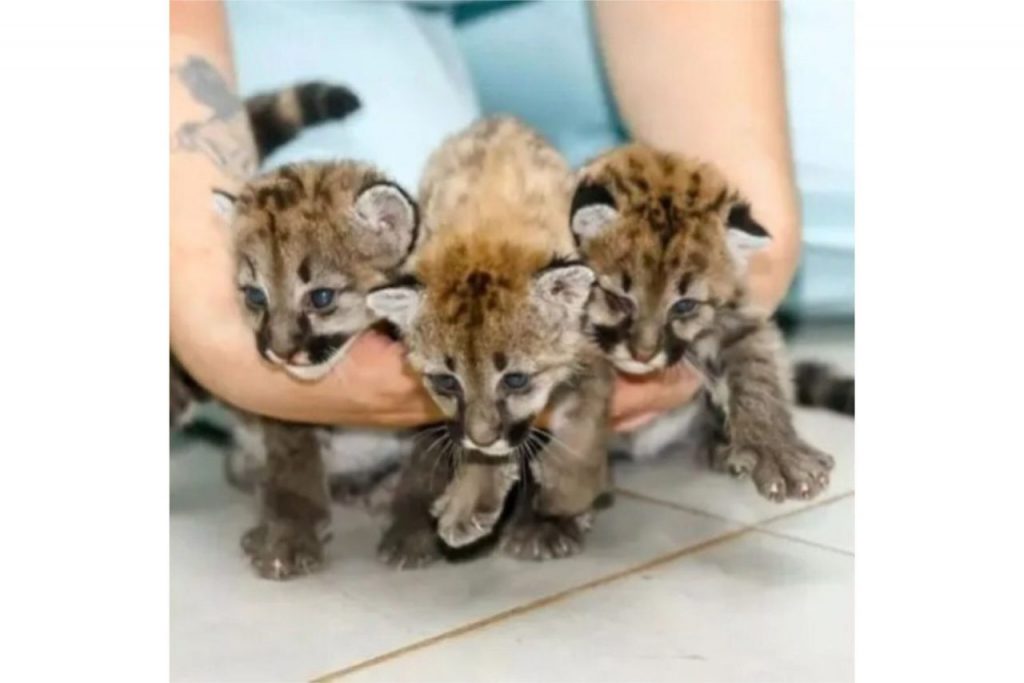 WhatsApp-Image-2023-11-22-at-09.37.51