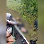 1701460737656a3b01844ce