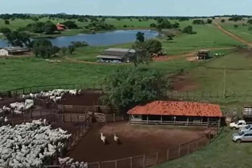 Fazenda de Amado Batista tem 20 mil cabeças de gado.