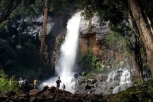Refresque-se: conheça 12 cachoeiras que ficam a até 250 km de Maringá