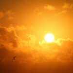 pexels-bradley-hook-147465